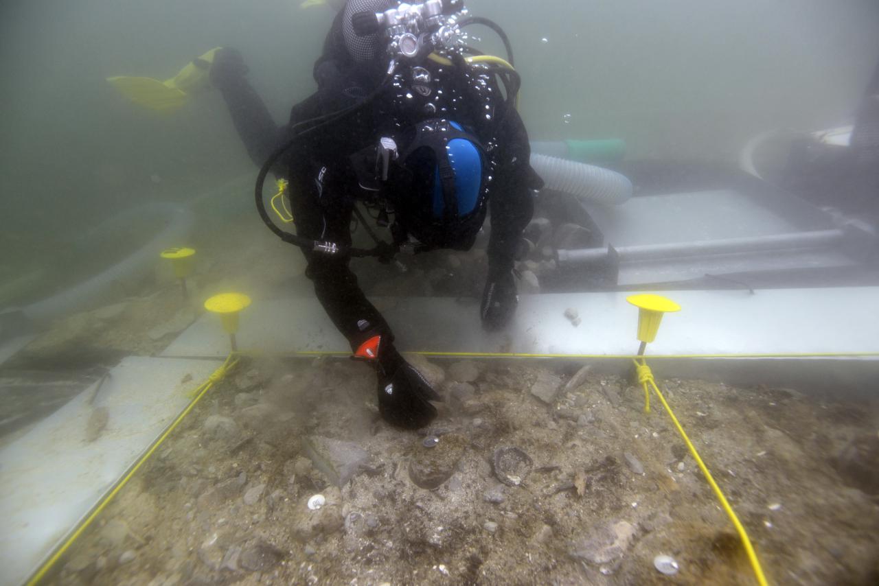 Ein Taucher unter Wasser untersucht den Boden, der nach Quadranten mit Schnüren unterteilt ist