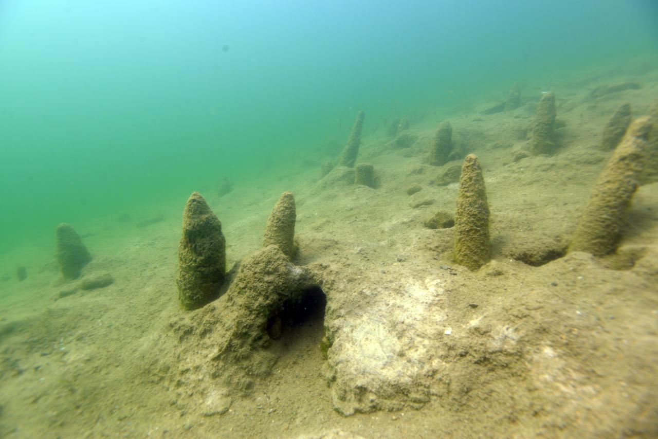 UNESCO-Welterbestätte im Keutschacher See 