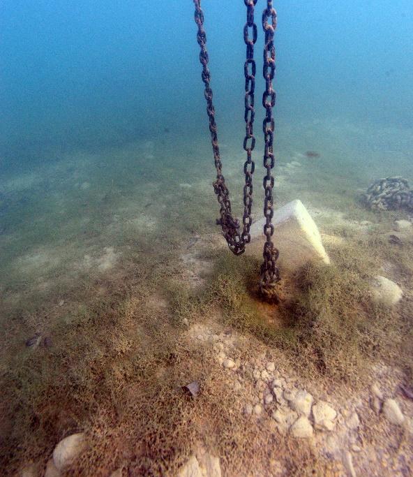 Eine Ankerkette am Seeboden zwischen Sediment und Gestein