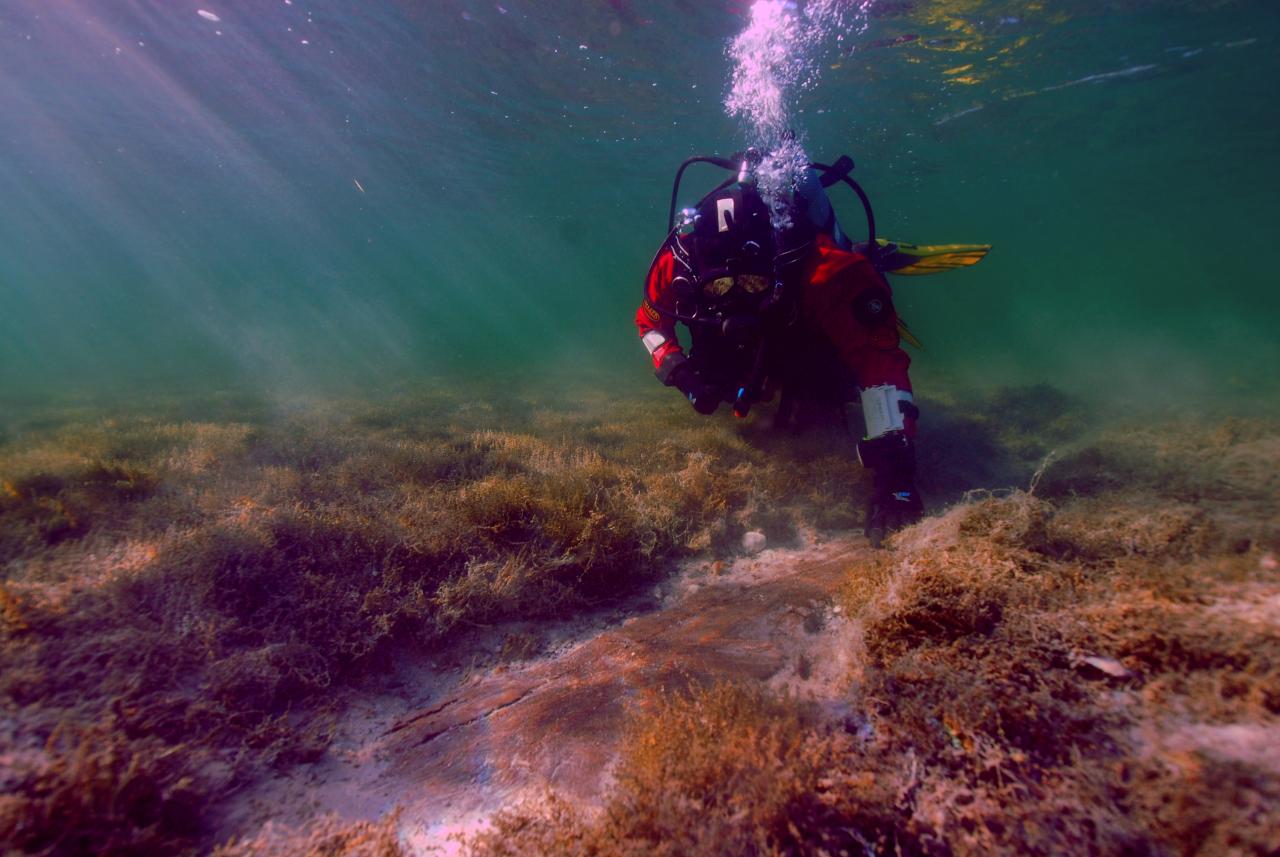 Ein Taucher unter Wasser bei freiliegenden Hölzern