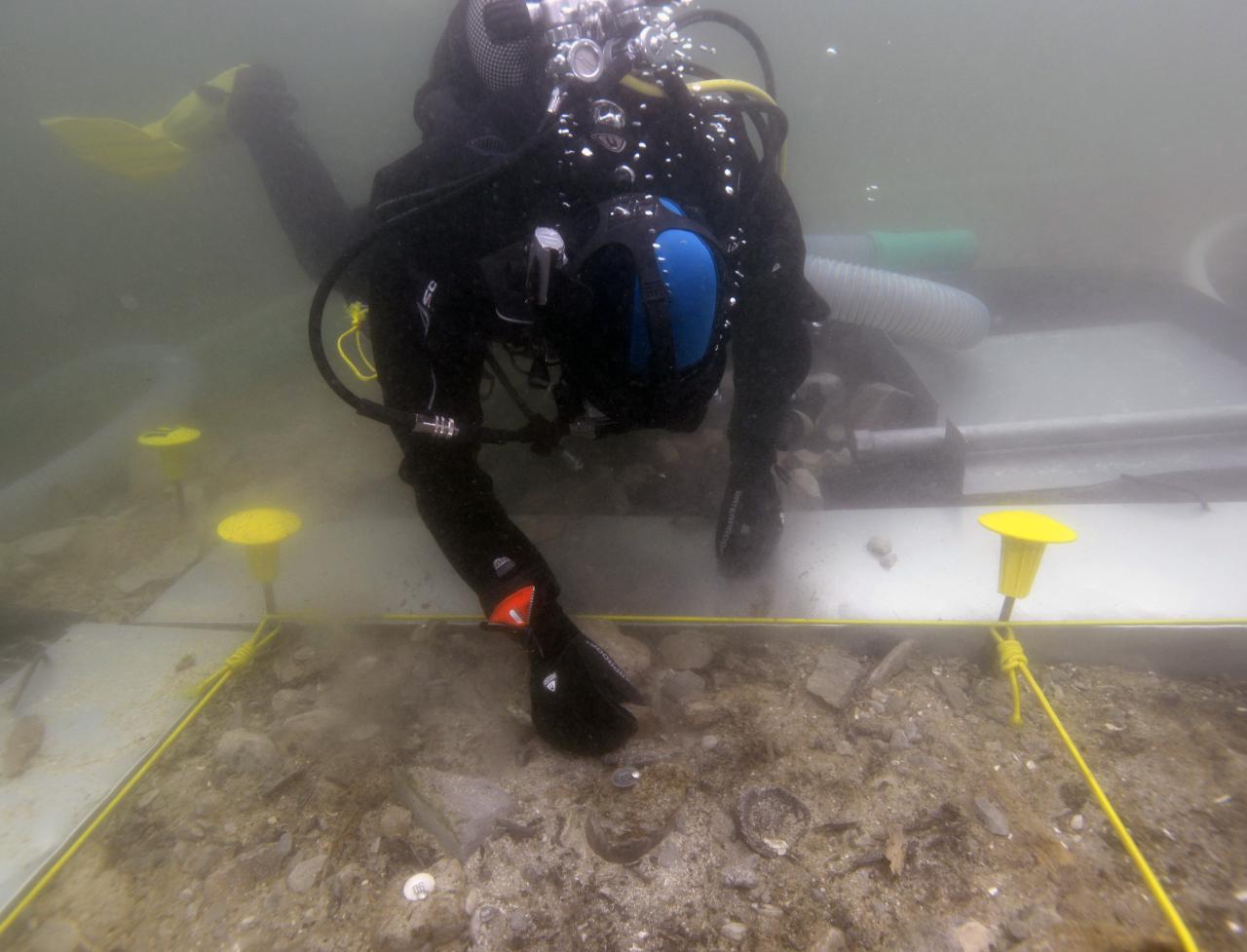 Eine Taucherin unter Wasser beim Freilegen von Befunden am Seegrund