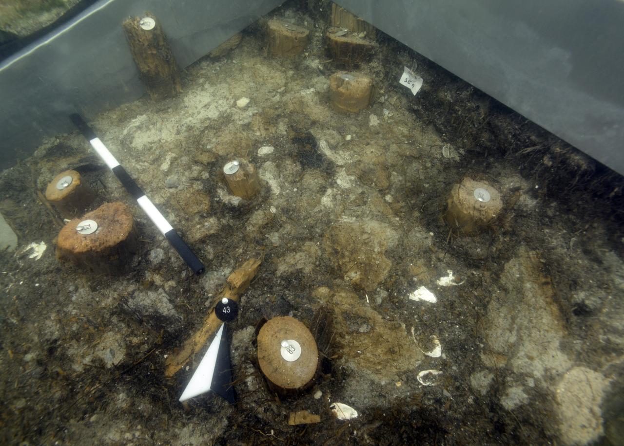 Der nördliche Grabungsschnitt unter Wasser, mit Markierungen und einer Fläche von angebranntem Lehm