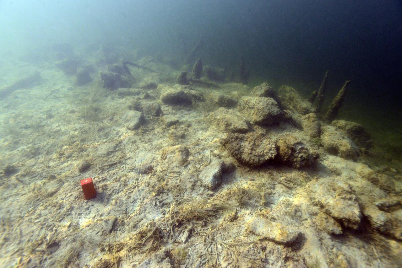 Mooswinkel, Mondsee: Oberfläche der Fundstelle im Bereich der Halde