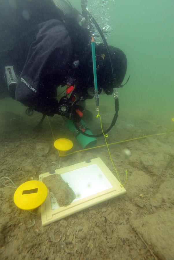 Ein Taucher unter Wasser vermisst und dokumentiert