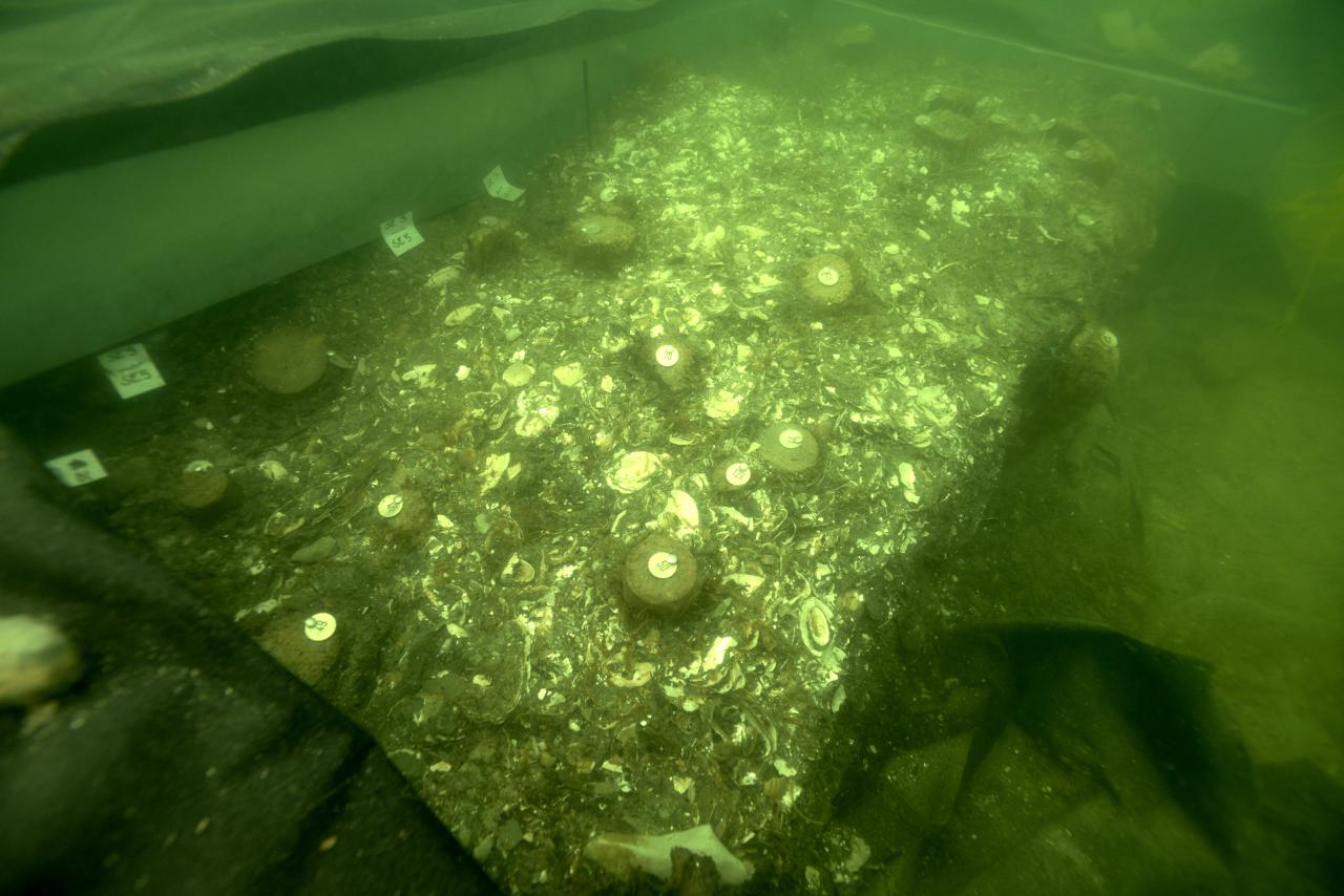 Ein Grabungsschnitt unter Wasser mit verschiedenen markierten Funden