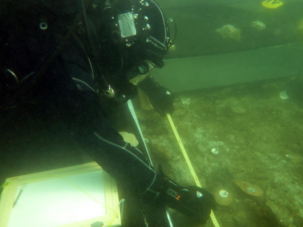 Ein Taucher am Unterwasser-Grabungsschnitt beim Vermessen mit dem Maßstab