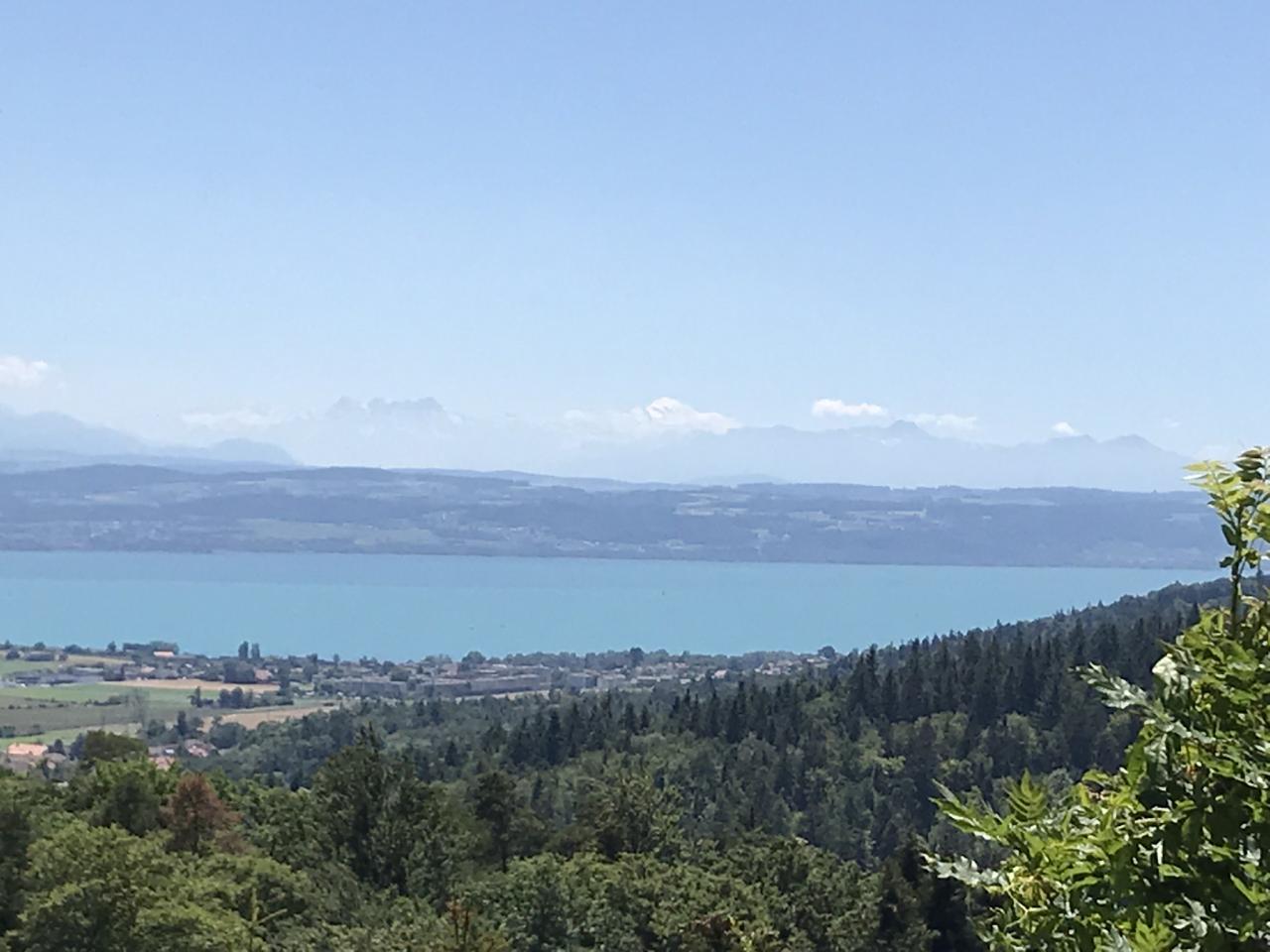 Ein See mit bewaldeter Fläche im Vordergrund