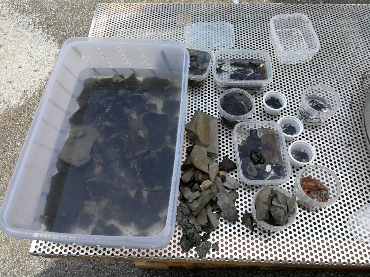 Fundmaterial in kleinen Plastikbehältnissen sortiert
