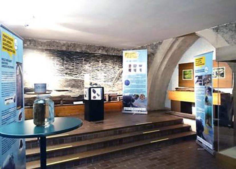 Ein Ausstellungsraum im Pfahlbau-Museum Mondsee