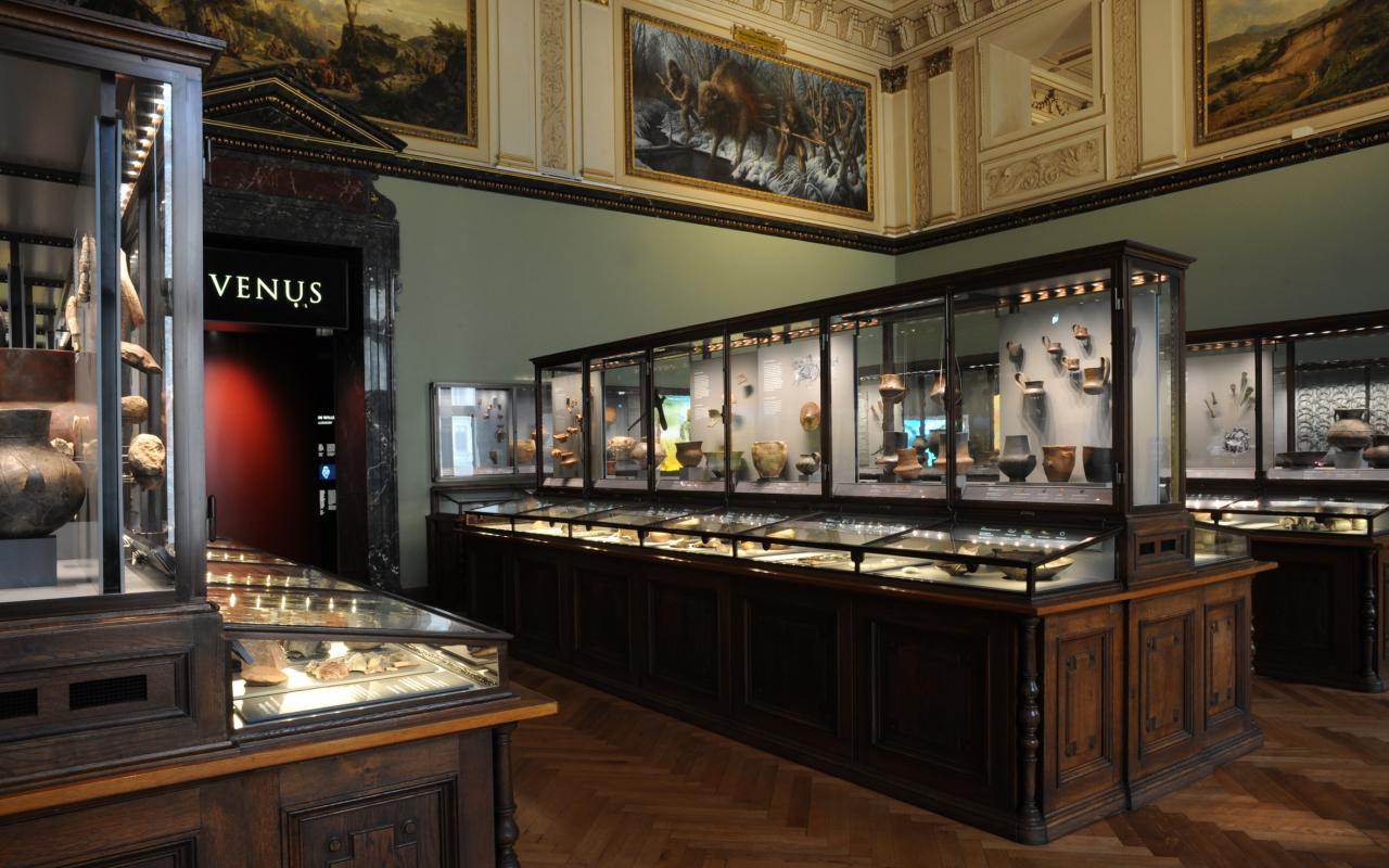 Ein Schausaal der Prähistorischen Abteilung mit beleuchteten Vitrinen