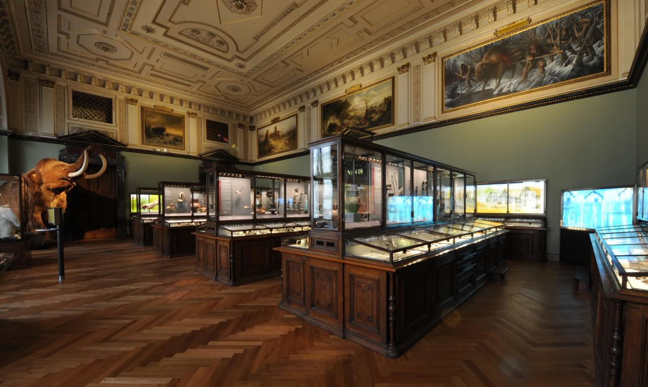 Ein Schausaal der Prähistorischen Abteilung mit beleuchteten Vitrinen