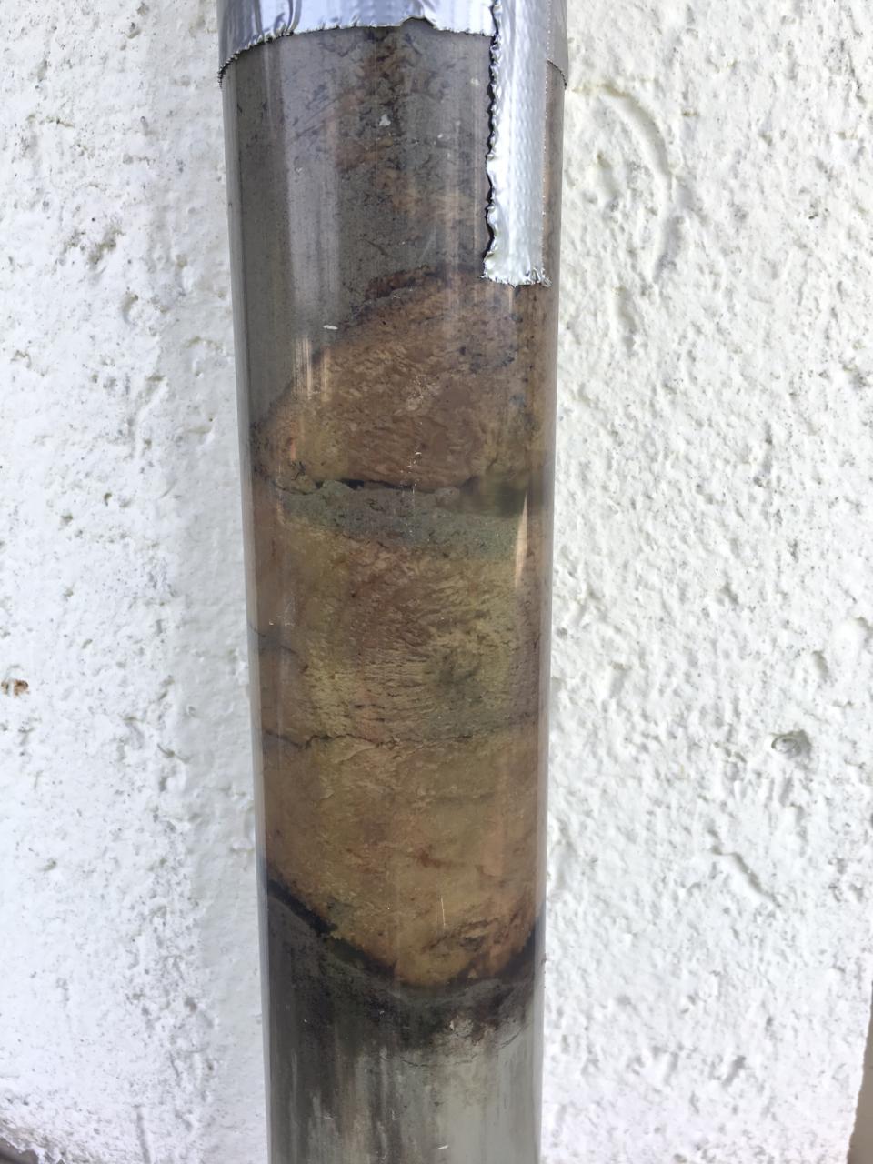 Der Bohrkern, mit dem L-Holz, an dem man die Jahresringe erkennen kann
