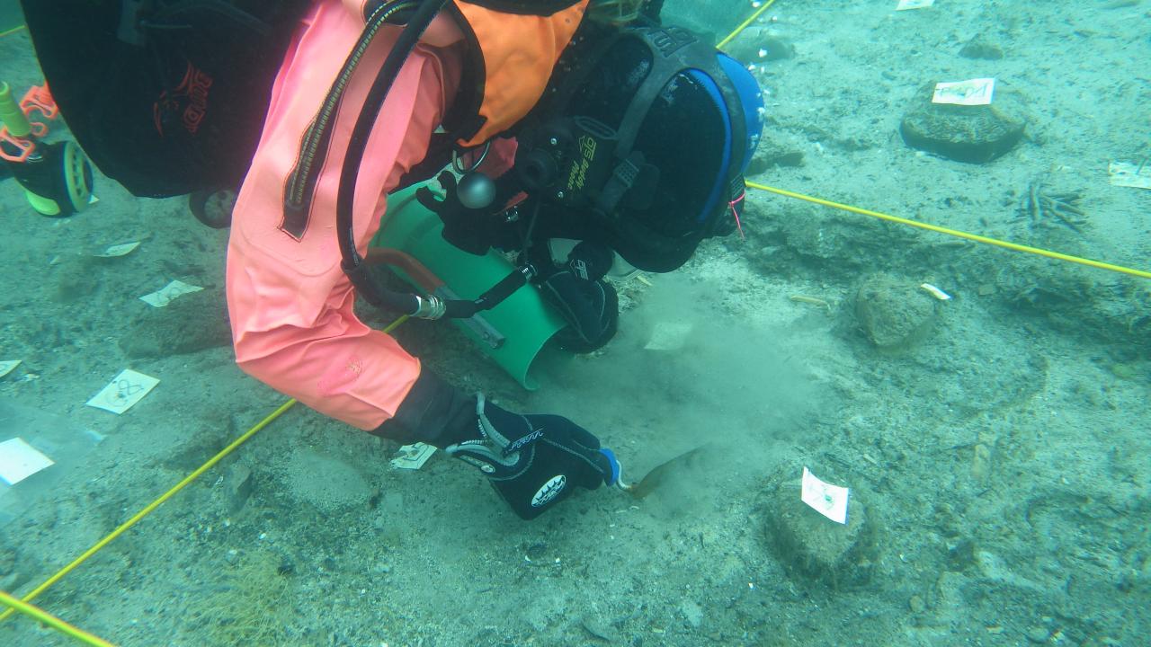 Eine Forschungstaucherin bei der Arbeit im Unterwasserschnitt