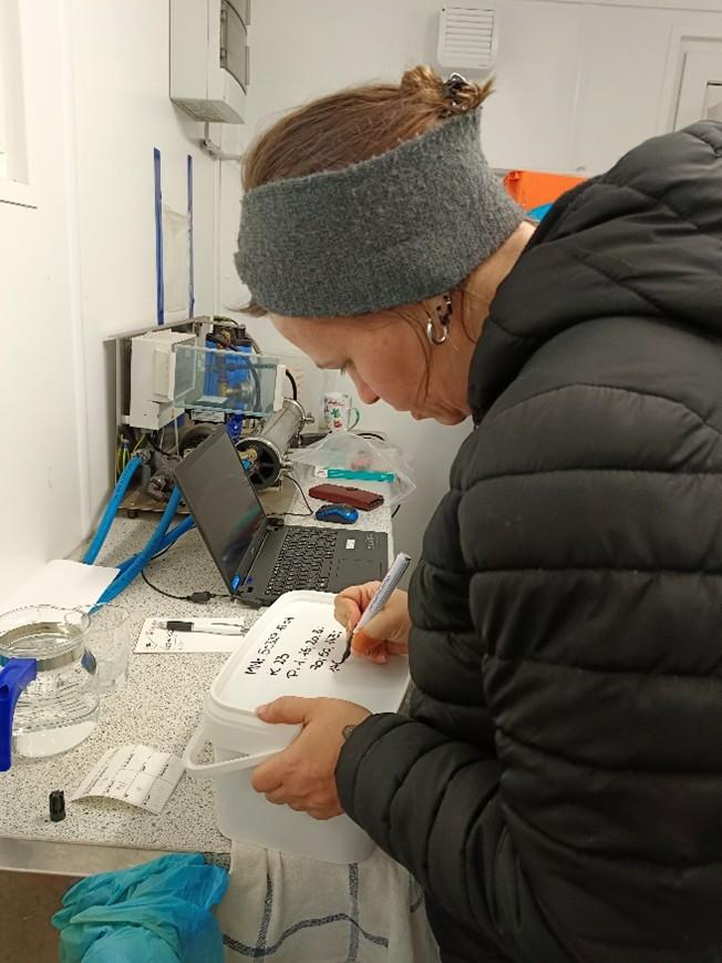 Beschriften Kübel mit P-Hölzern