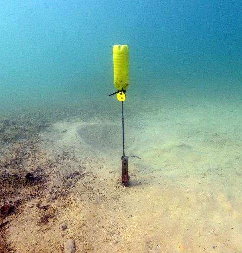 Ein Erosionsmarker mit gelber Markierung unter Wasser im Bojenkrater