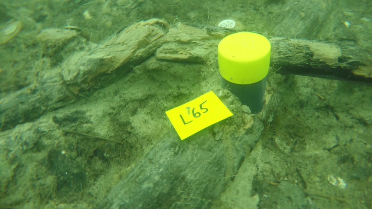Liegende Hölzer am Seegrund mit gelben Markierungen 