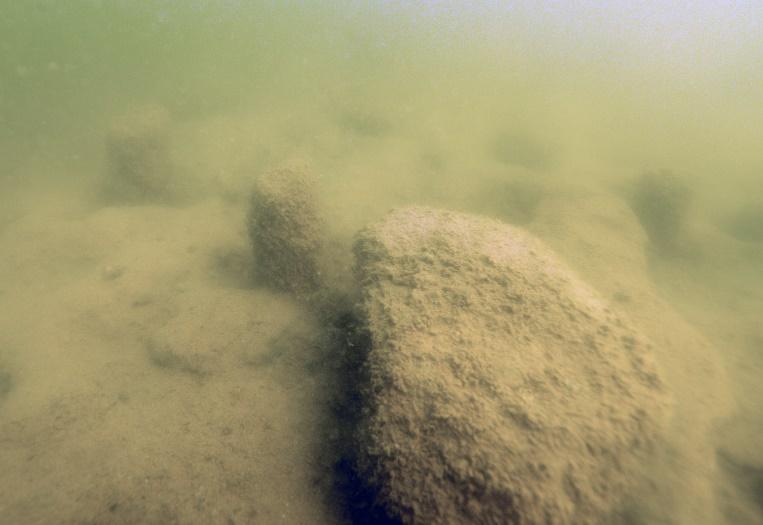 Pfahlköpfe und größere Steine auf der Kuppe im Hafner See