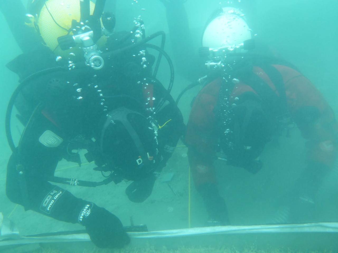 2 Taucher unter Wasser