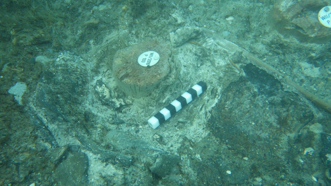 Eine schöne Scherbenlage im Grabungsschnitt