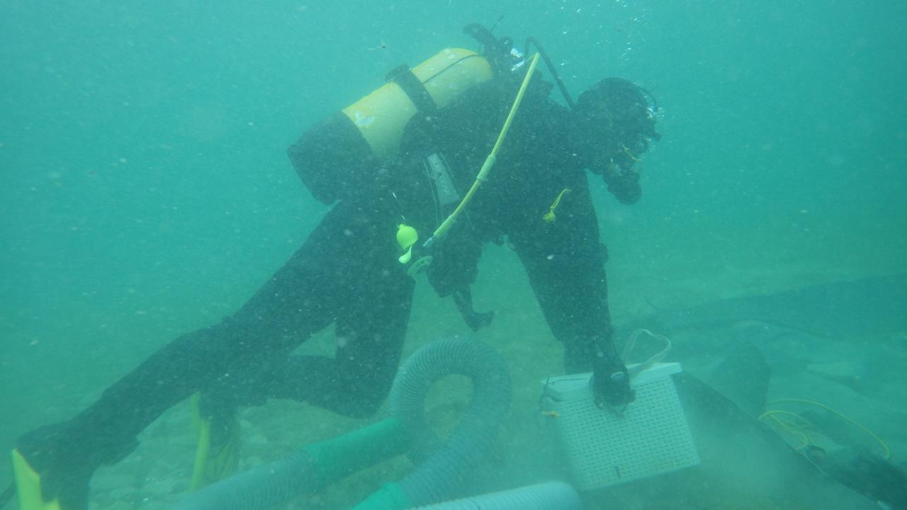Eine Taucherin im Wasser, beim Tragen einer Plastikbox