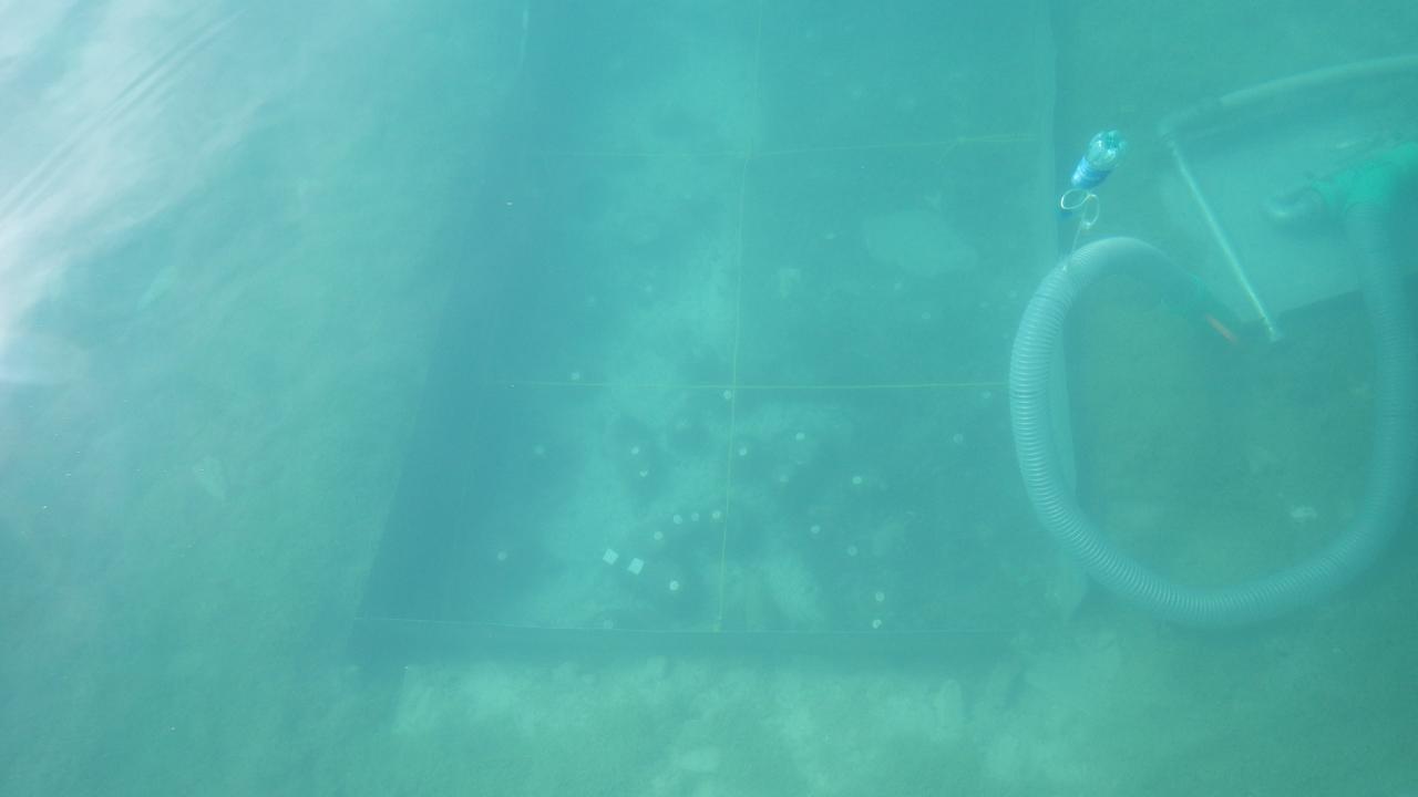 Man sieht schemenhaft die Grabungsfläche am Seegrund mit der Dredge
