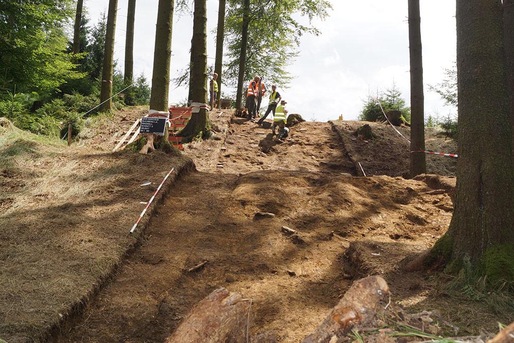 Ein langer Grabungsschnitt im Wald