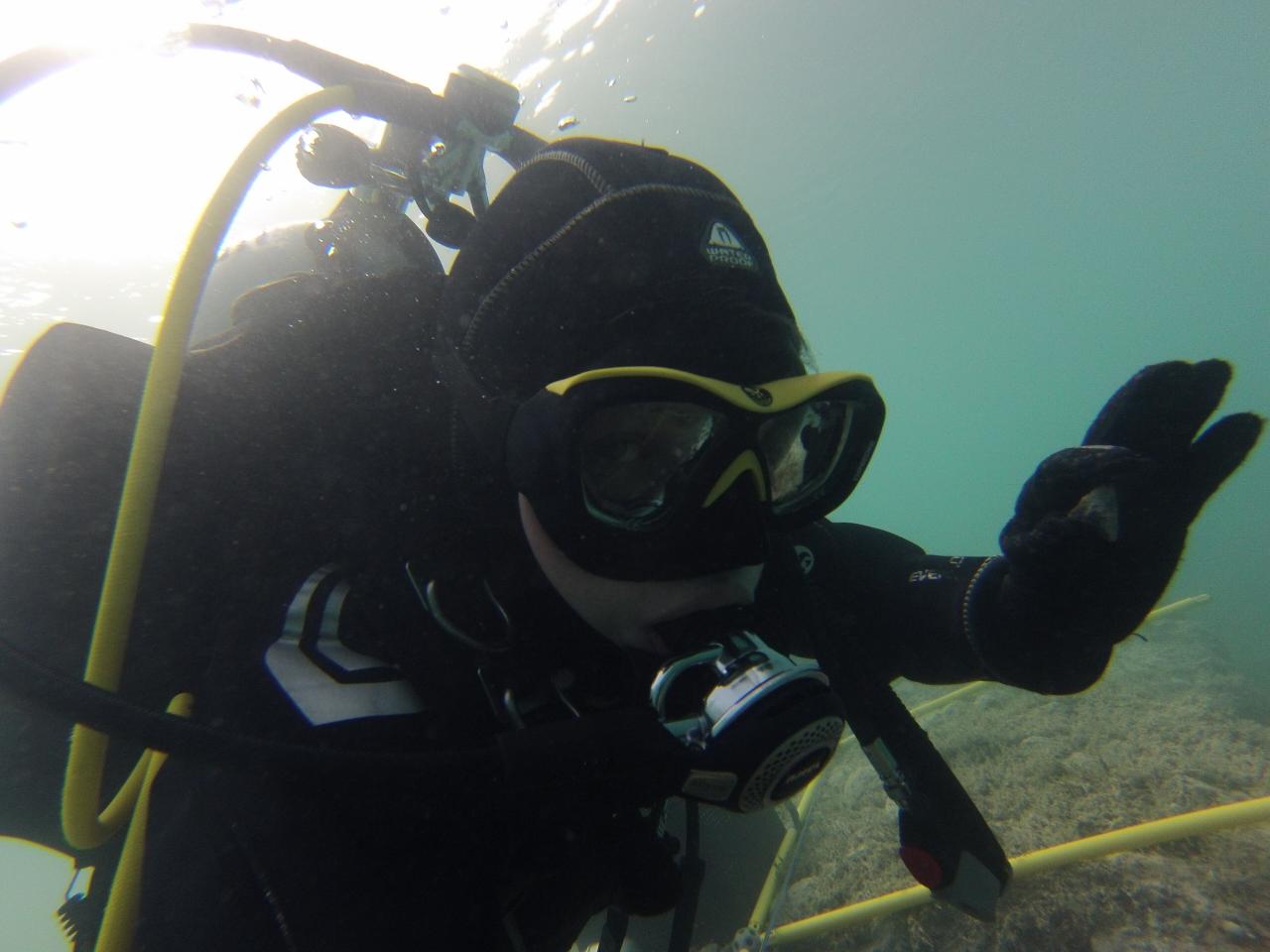 Eine Taucherin unter Wasser zeigt das OK-Zeichen
