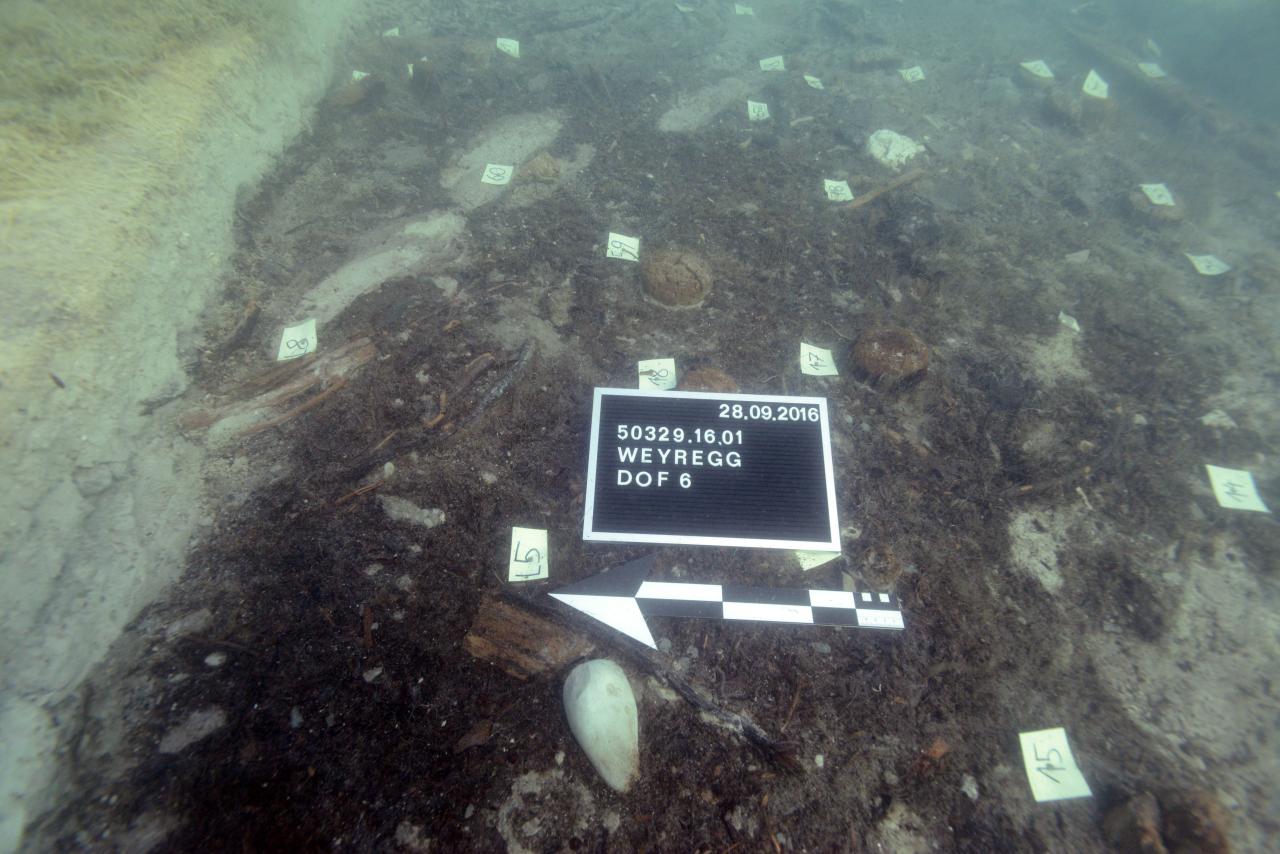 Der Unterwasserschnitt mit Markierungen, Fototafel und Maßstab