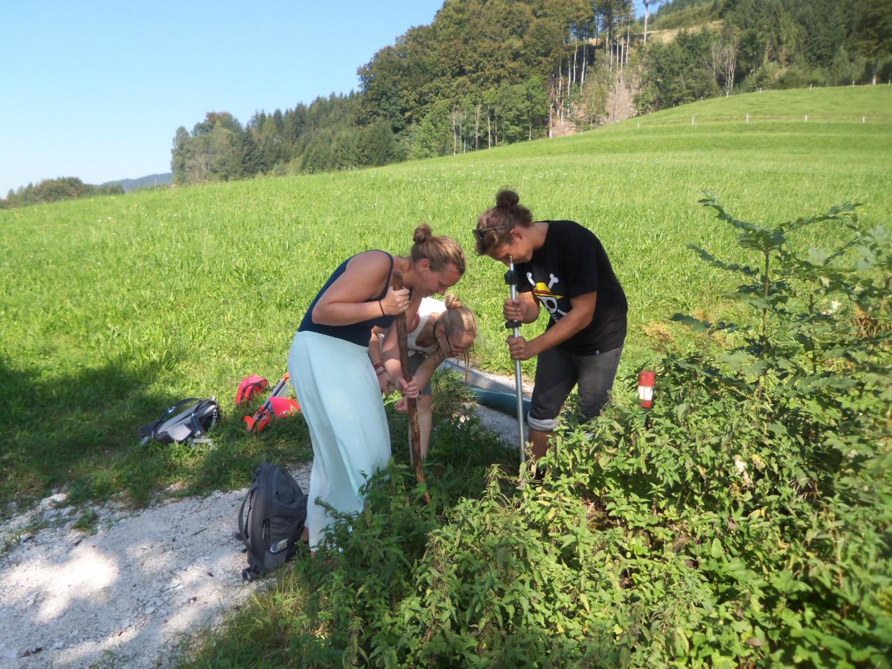 3 Personen suchen im Gestrüpp nach einem Fixpunkt für die Vermessung