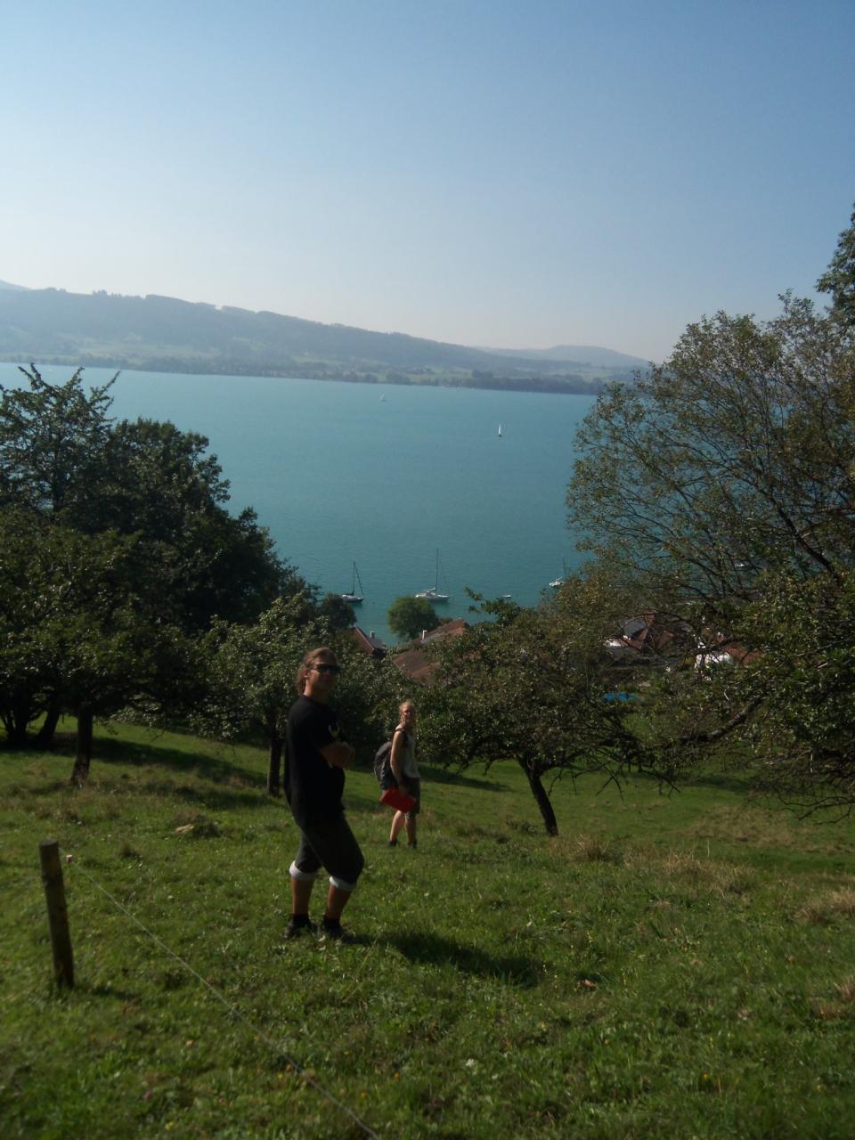 2 Personen auf einer Streuobstwiese vor dem Panorama des Attersees