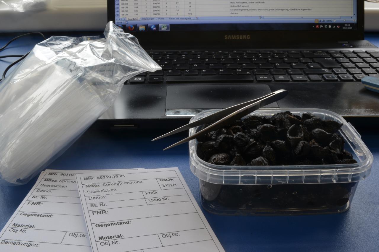 Haselnussreste in einem Plastikbehälter mit Pinzette und Fundzetteln