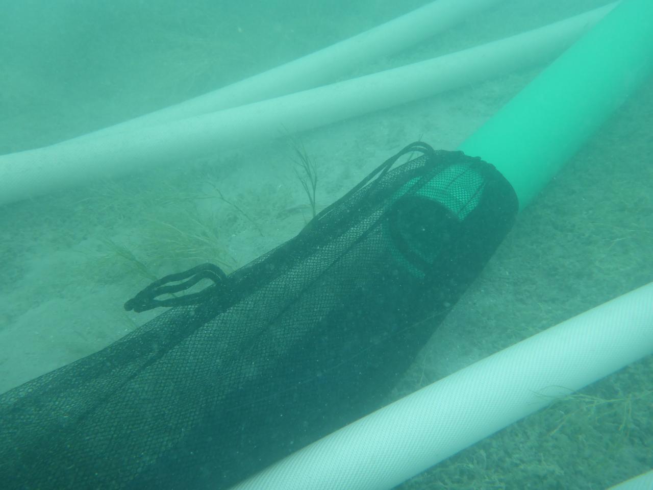Man sieht das Fangnetz, dass an dem Rohr der Dredge montiert ist