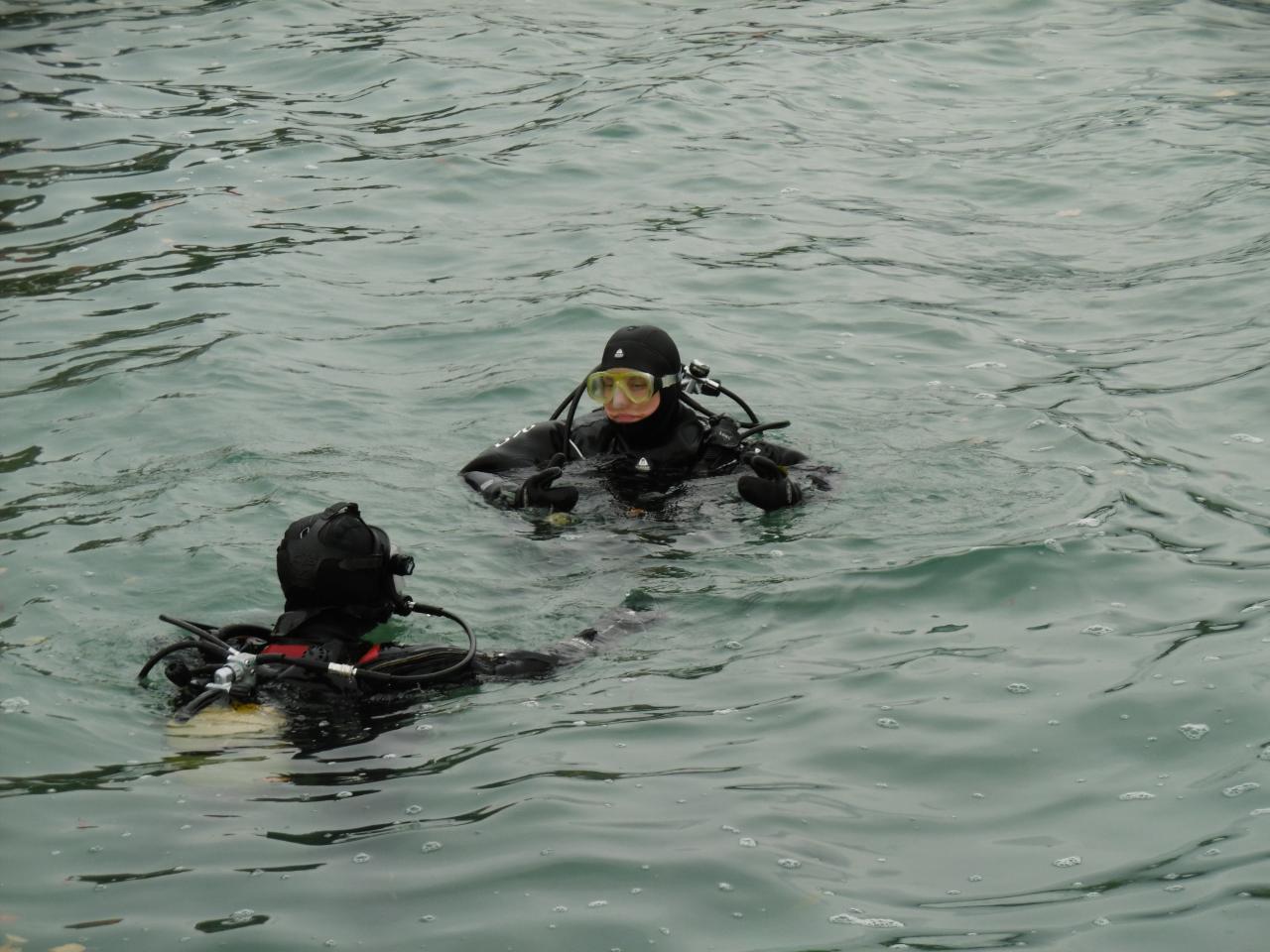 2 Taucher im Wasser, mit dem Kopf über der Oberfläche