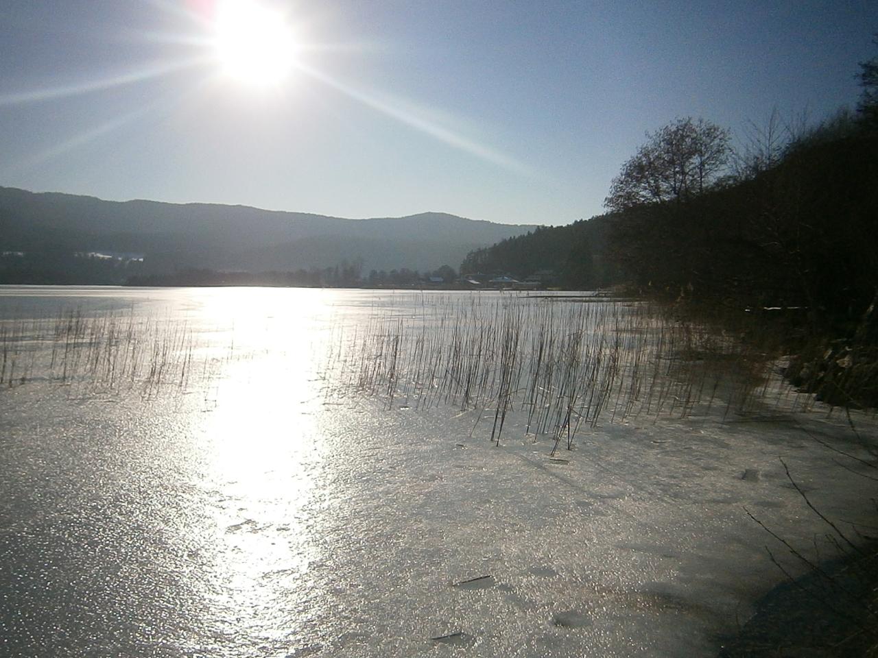 Das Nordufer des Keutschacher Sees in der Abendsonne