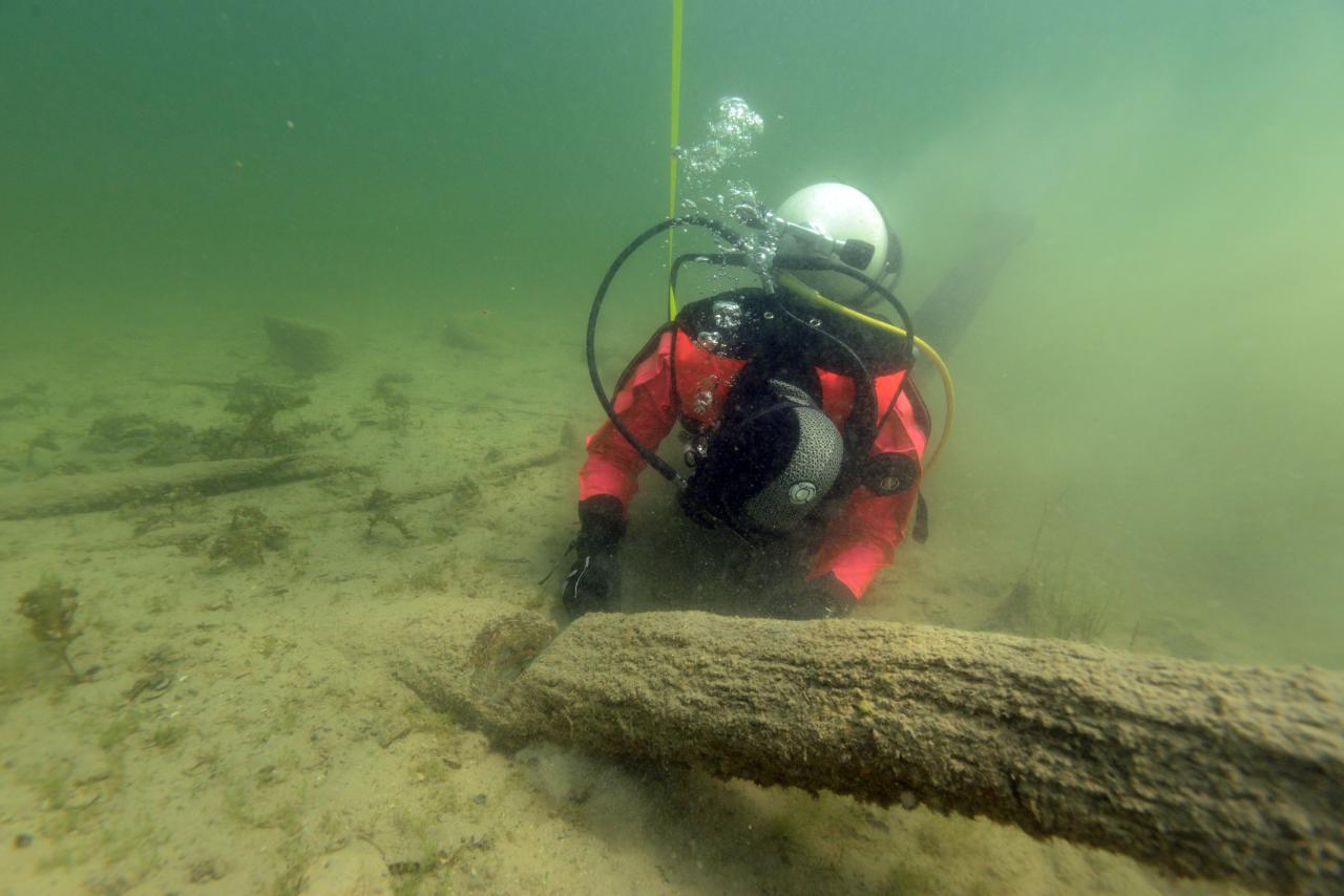 Eine Forschungstaucherin am Seegrund, beim Betrachten eines großen Holzstückes