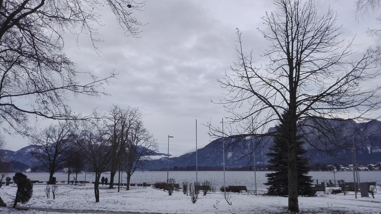 Eine schneebedeckte Wiese vor dem Mondsee