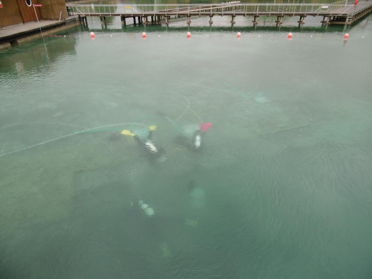 Unter der Wasseroberfläche erkennt man 3 Taucher:Innen bei ihrer Arbeit