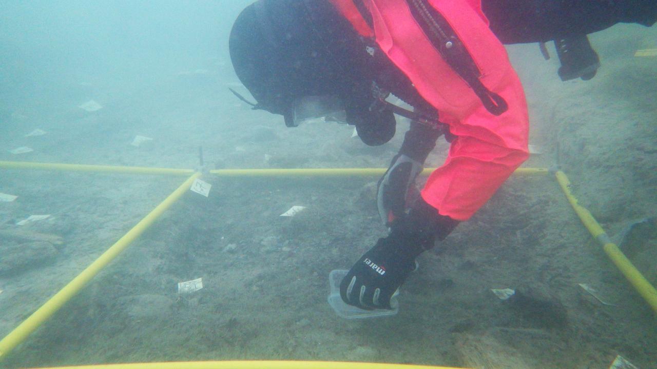 Eine Taucherin entnimmt aus dem Unterwasserschnitt eine Probe