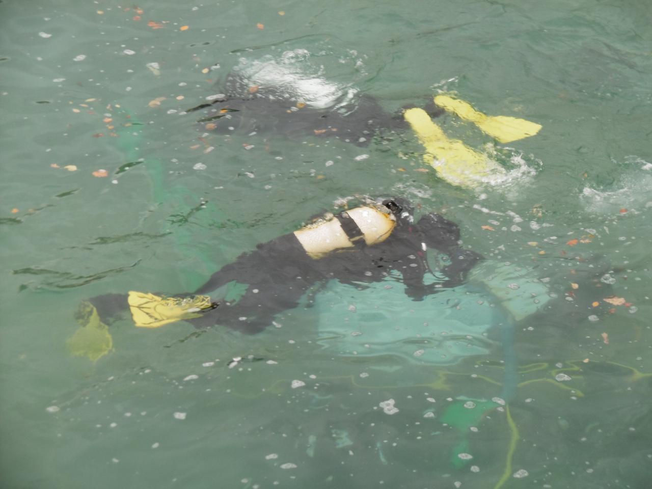 Man sieht 2 Taucher knapp unter der Wasseroberfläche