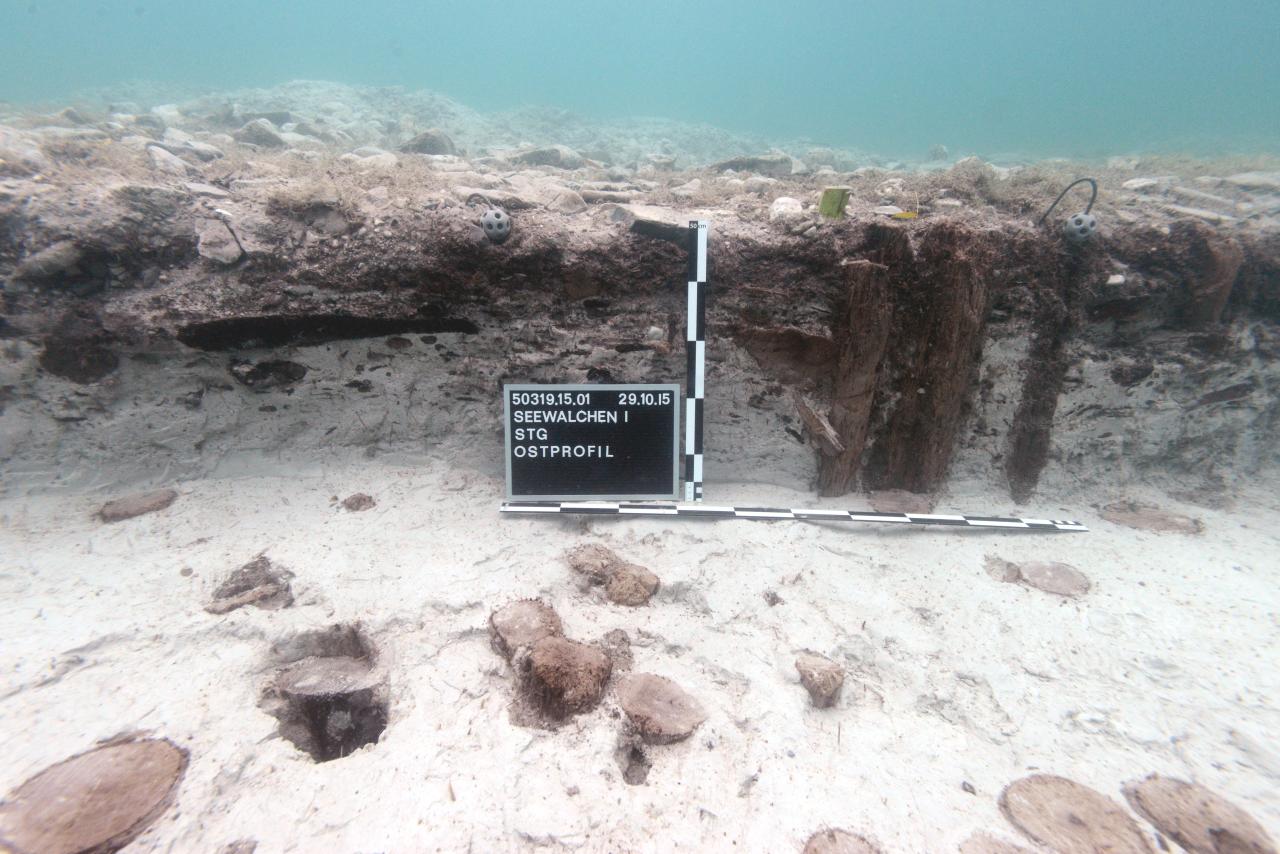 Das Ostprofil der Sprungturmgrube mit Maßstab und Fototafel