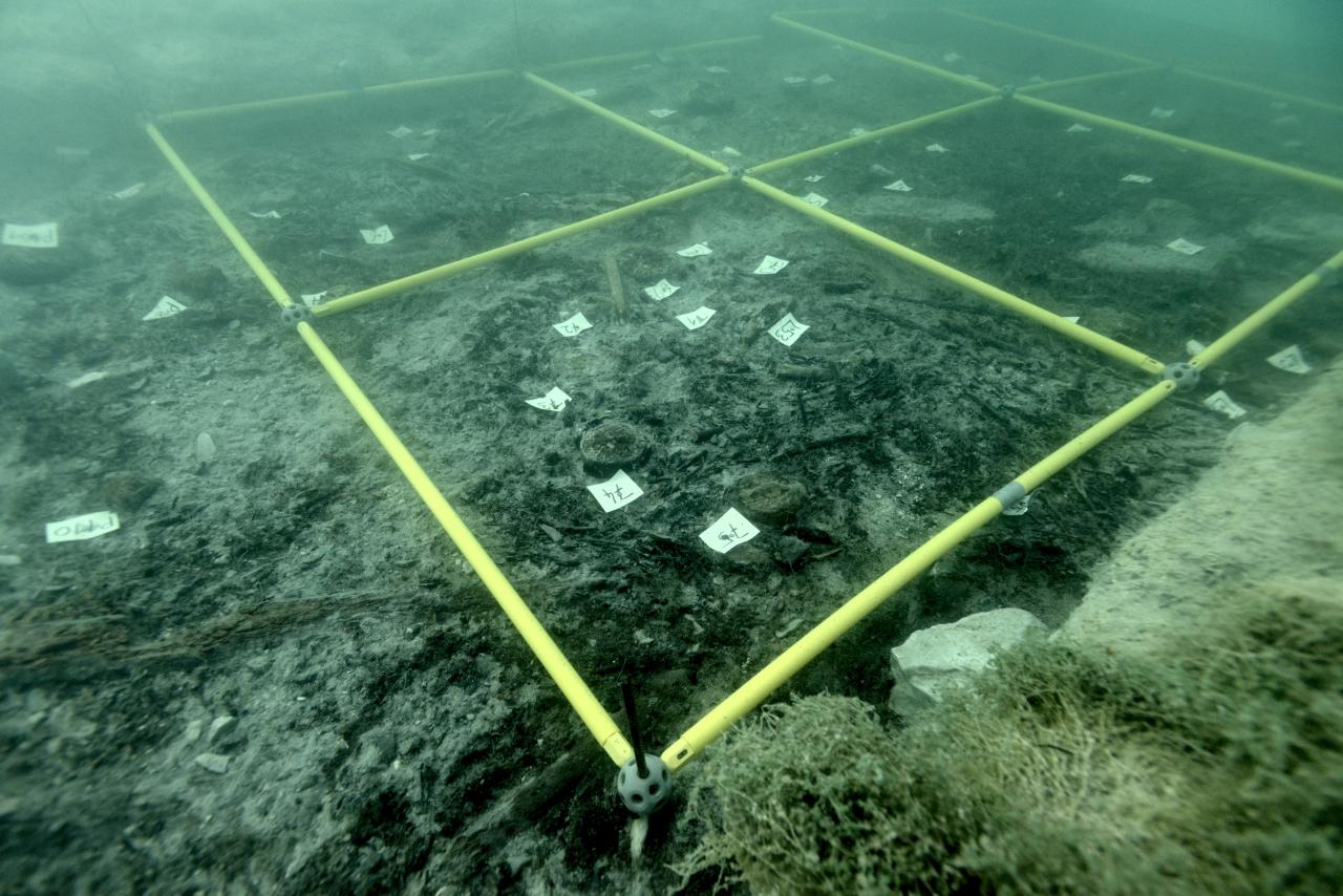 Man sieht die markierten Quadranten und Beschriftungszettel auf dem Seegrund