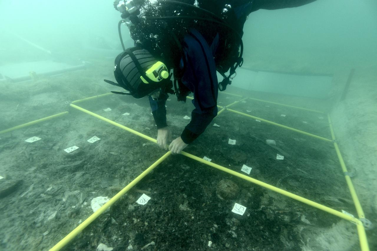 Ein Taucher steckt am Seeboden die Rahmen für die Markierung der Quadranten zusammen