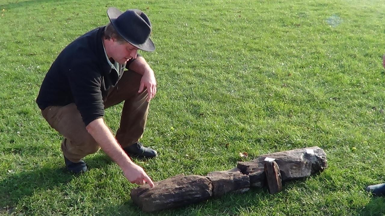 Wolfgang Lobisser mit Hut hockt vor einem großen Holzstück in einer Wiese