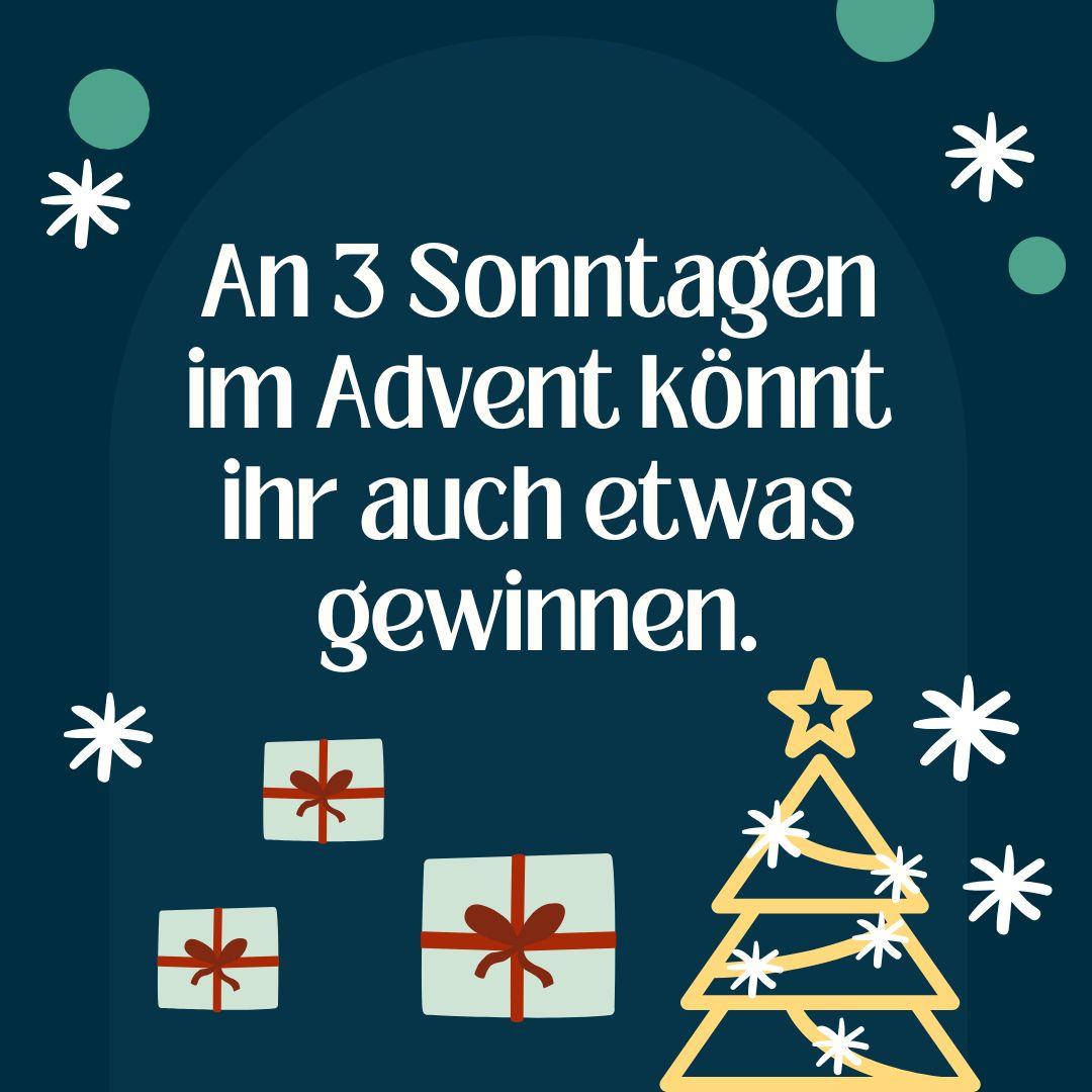 Instagram-Adventkalender-Pfahlbauten 04