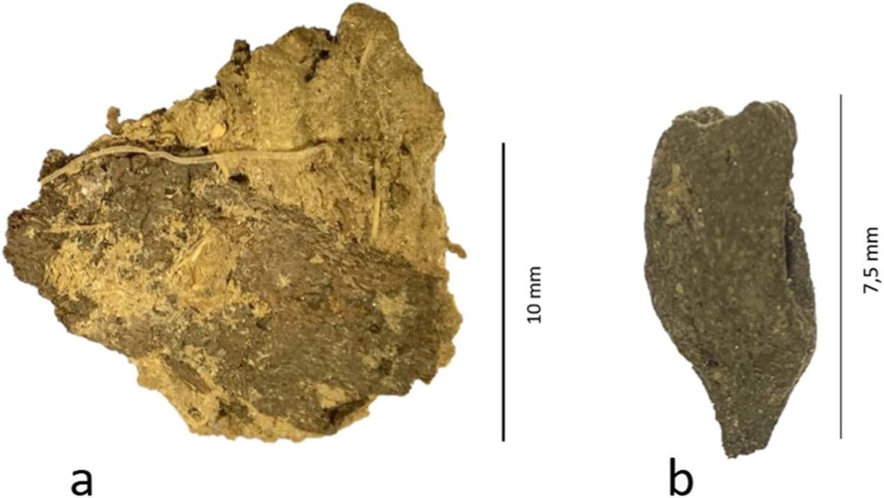 Tierdung aus Mooswinkel