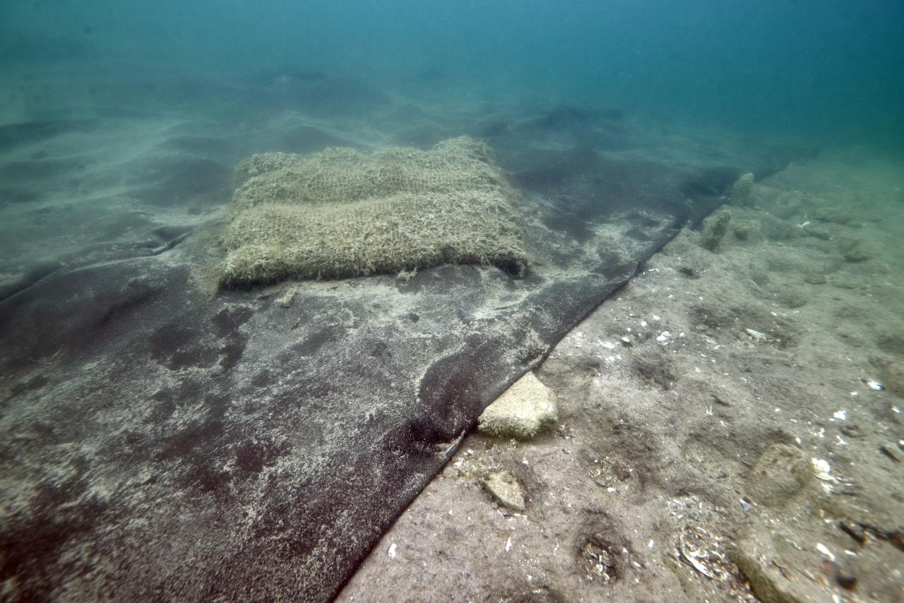 Künstliche Zandernester auf den Erosionsschutzmatten 