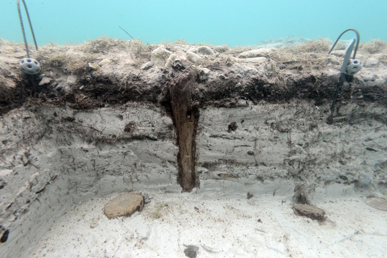 Schichtablagerung im Profil des Ausgrabungsschnittes an der Fundstelle Seewalchen I, 2015.