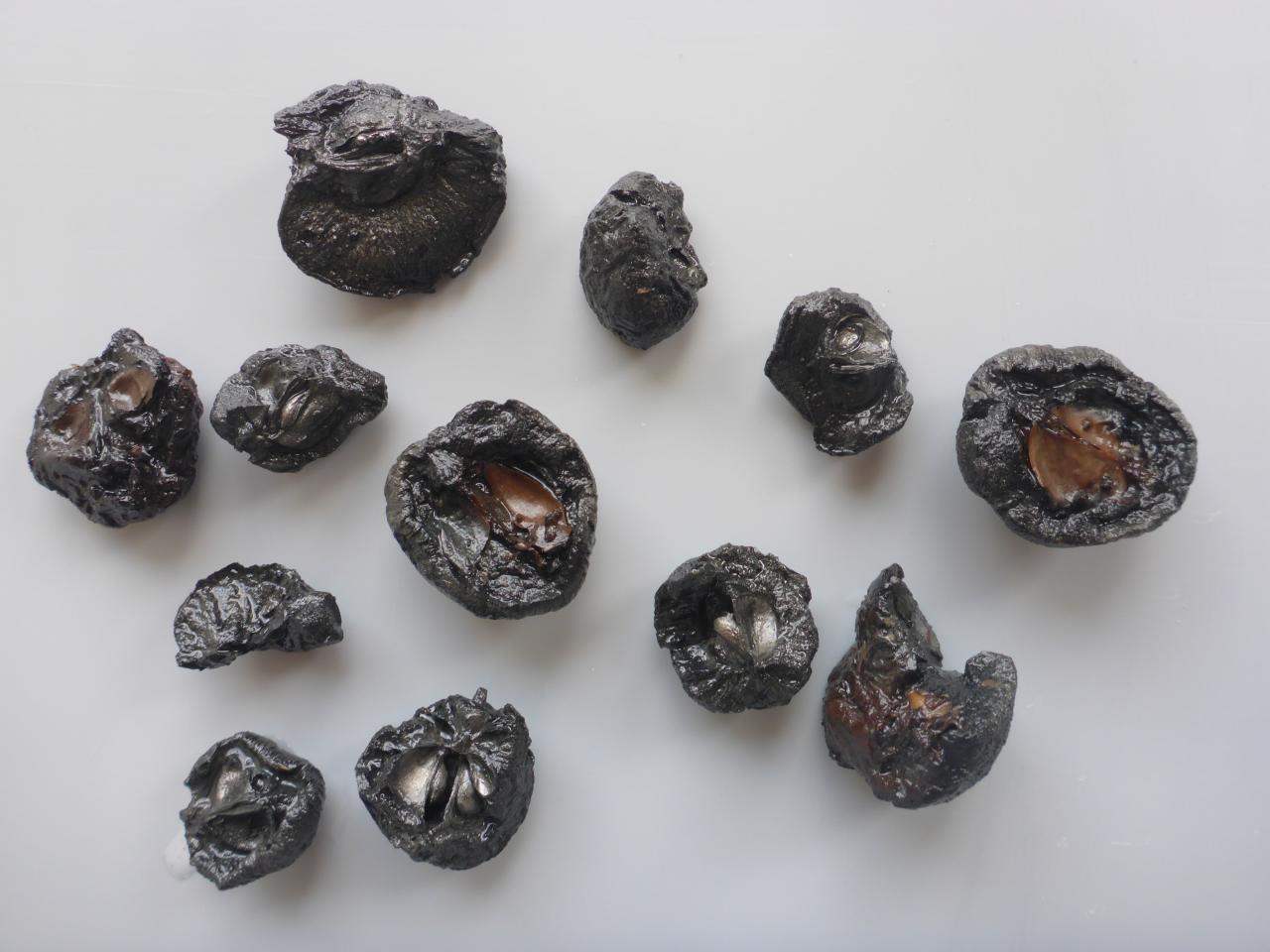 6000 Jahre alte, verkohle Apfelhälften.