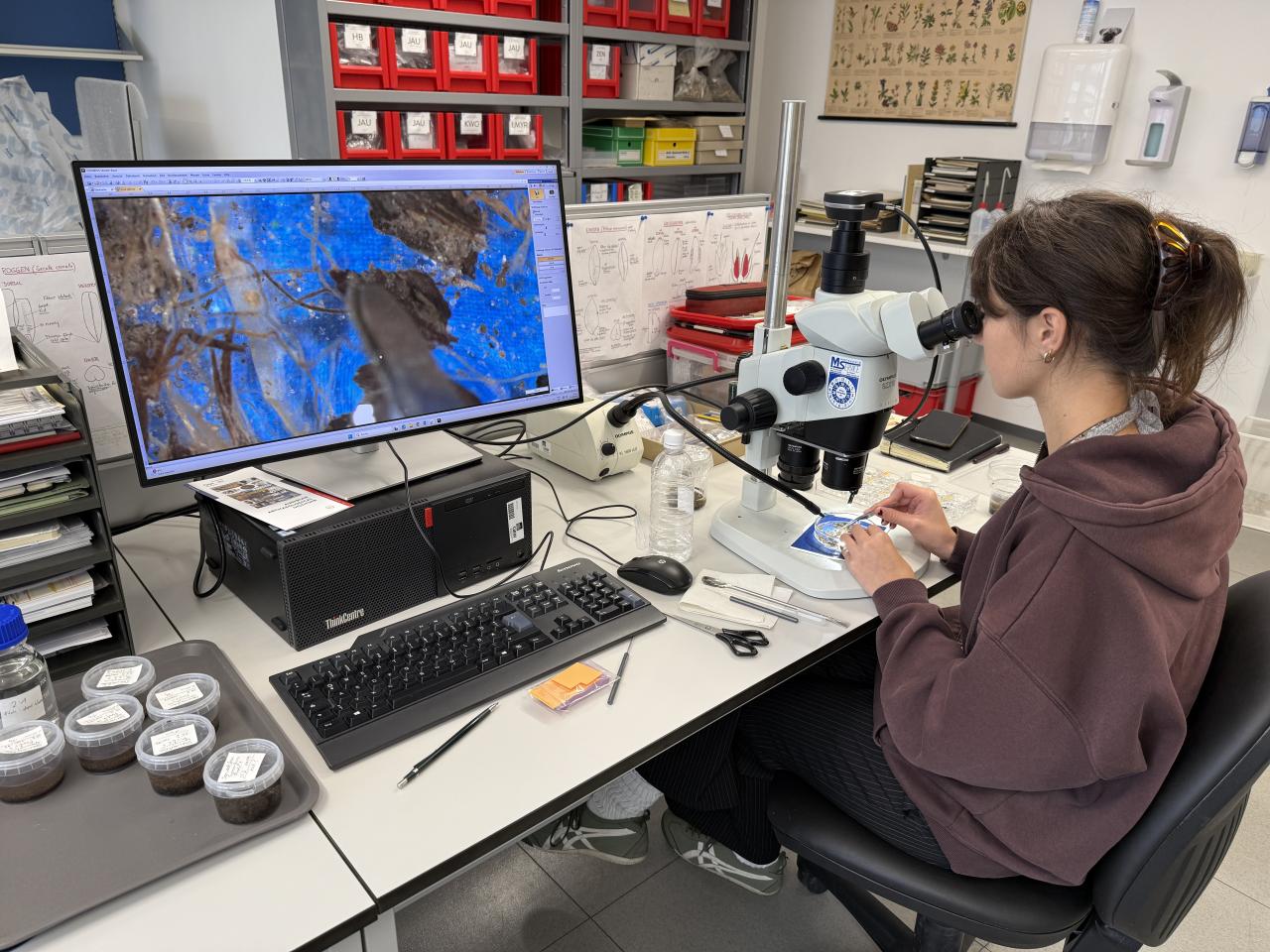 Ambra bei der Arbeit im Labor