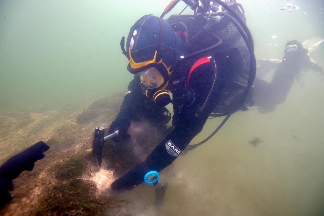 Taucher nimmt eine Gesteinsprobe